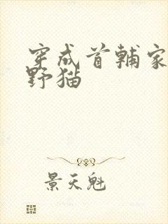 穿成首辅家的小野猫