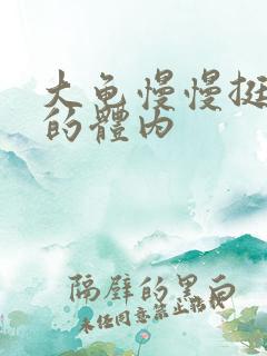 大龟慢慢挺进我的体内