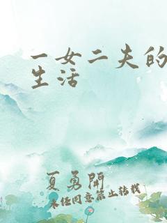 一女二夫的激情生活