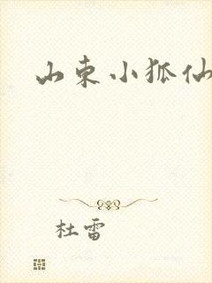 山东小狐仙