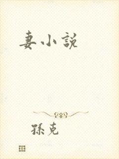 妻小说