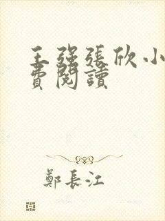 王强张欣小说免费阅读