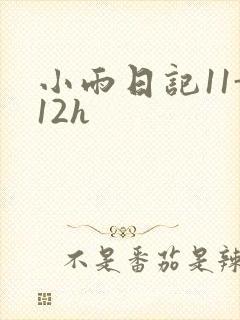 小雨日记11-12h