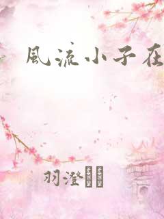 风流小子在异世