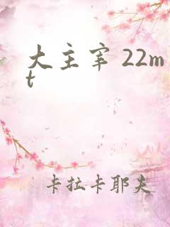 大主宰 22mt