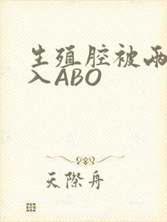 生殖腔被两根进入ABO