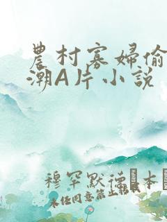 农村寡妇偷人高潮A片小说