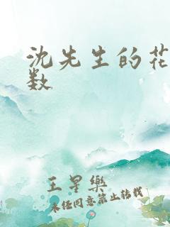 沈先生的花式调数