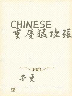 CHINESE重庆猛攻张先生