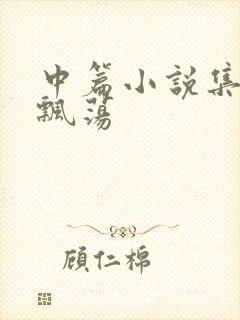 中篇小说集随风飘荡