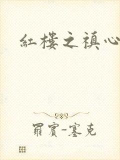 红楼之禛心锁玉