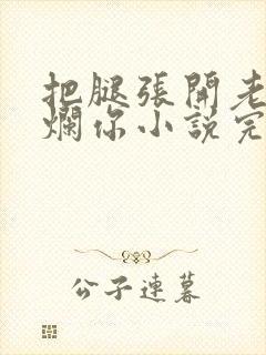 把腿张开老子臊烂你小说完