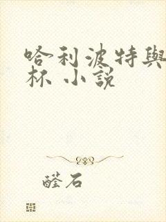 哈利波特与火焰杯 小说