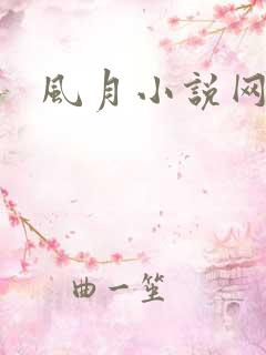 风月小说网