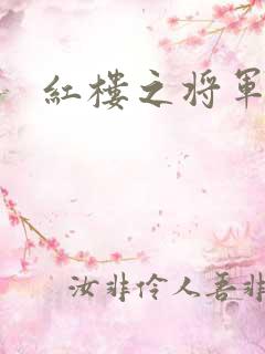 红楼之将军
