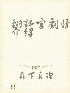 翻译官剧情分集介绍