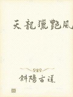 天龙猎艳风流