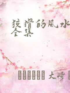 狡猾的风水相师全集