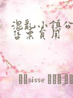 混乱小镇公交车售票员用