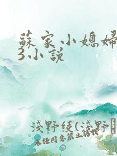 苏家小媳妇1V3小说