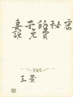 妻子的秘密 小说 免费