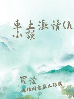 车上激情(h)小说