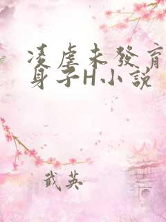 凌虐未发育的小身子H小说