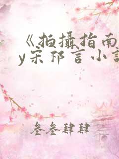 《拍摄指南》by宋祁言小说