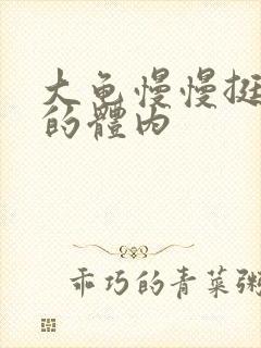 大龟慢慢挺进我的体内