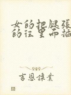 女的把腿张开男的往里面插