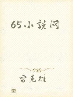 65小说网
