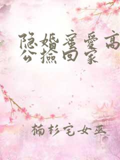 隐婚蜜爱高冷老公捡回家