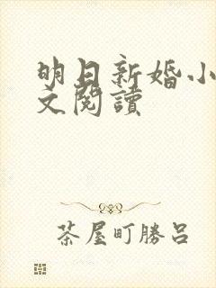 明日新婚小说全文阅读