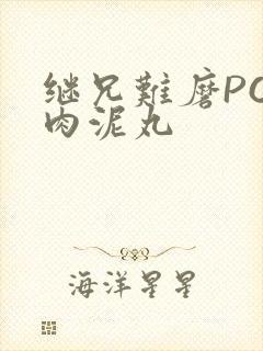 继兄难磨PO猪肉泥丸