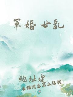 军婚 廿乱