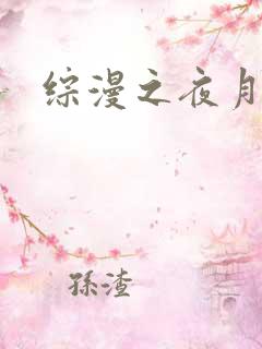 综漫之夜月