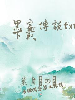 黑客传说txt下载