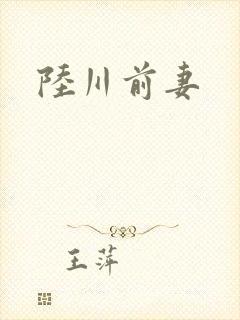陆川前妻