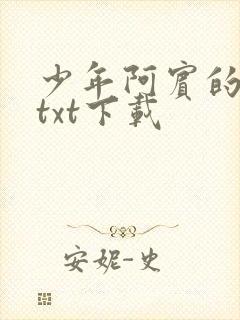 少年阿宾的故事txt下载