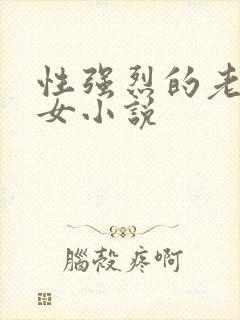 性强烈的老年妇女小说