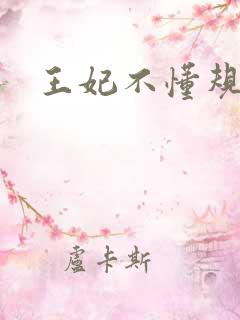 王妃不懂规矩