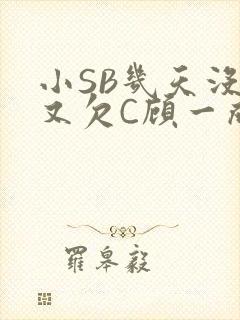 小SB几天没做又欠C顾一成视频