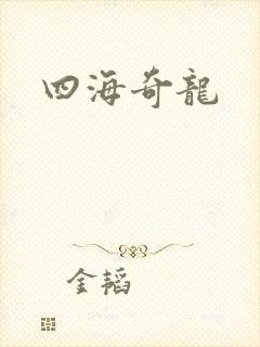 四海奇龙
