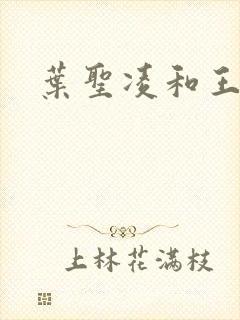 叶圣凌和王可馨