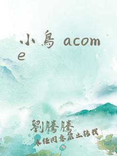 小鸟 acome