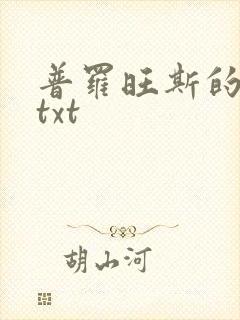 普罗旺斯的一年txt