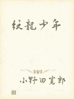 纹龙少年