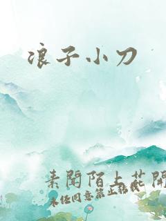 浪子小刀