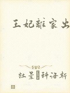 王妃离家出走