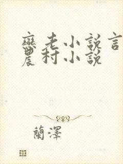 恋老小说言情网农村小说